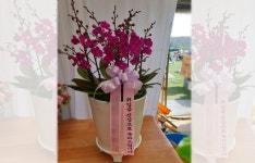 울산광역시울주군 꽃배달 · 꽃집 - 간절곶원예힐링하우스 | 플라워119꽃배달서비스 울산광역시울주군 꽃배달 - 간절곶원예힐링하우스