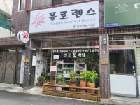 대구광역시수성구 꽃배달, 대구광역시수성구 꽃집, 대구광역시 수성구 지범로23길 11-10 꽃집, 1층 플로렌스꽃집(지산동) 꽃집, 대구광역시... 