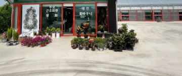 경상북도경산시 꽃배달, 경상북도경산시 꽃집, 경상북도 경산시 압량읍 대학로 691 꽃집, 경산 365 꽃배달 꽃집, 경상북도 경산시 압량읍 대학로... 