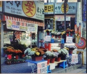강원도동해시 꽃배달, 강원도동해시 꽃집, 강원도 동해시 한섬로 82 꽃집, (천곡동) 꽃집, 강원도 동해시 한섬로 82 꽃배달, (천곡동) 꽃배달... 