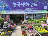광주광역시서구 꽃배달 · 꽃집 - 꽃피는농원 한국생화랜드 | 플라워119 광주광역시서구 꽃배달 - 꽃피는농원 한국생화랜드 | 플라워119