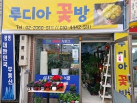 경기도안산시 상록구 꽃배달, 경기도안산시 상록구 꽃집, 경기도 안산시 상록구 항가울로 11 꽃집, 1층 루디아꽃방(사동) 꽃집, 경기도 안산시... 