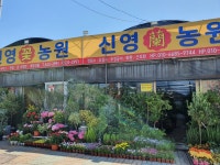신영꽃농원(석대동) 꽃집, 부산광역시 해운대구 반송로 524 꽃배달, 석화화훼단지 내 신영꽃농원(석대동) 꽃배달 - 신영꽃농원... 