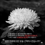 강원도원주시 꽃배달 · 꽃집 - 힐링꽃하우스 | 플라워119꽃배달서비스 강원도원주시 꽃배달 - 힐링꽃하우스