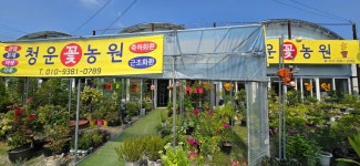 꽃집, 대구광역시 동구 팔공로 75 꽃배달, (불로동) 꽃배달 - 청운꽃농원 플라워119꽃배달서비스 - 생일, 개업, 축하, 근조 꽃배달 전문 카테고리... 