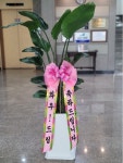 강원특별자치도횡성군 꽃배달, 강원특별자치도횡성군 꽃집, 강원특별자치도 횡성군 횡성읍 문정로 14 꽃집, 예삐꽃방 꽃집, 강원특별자치도... 