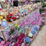 대전광역시서구 꽃배달, 대전광역시서구 꽃집, 대전광역시 서구 둔산북로 22 꽃집, 대전광역시 서구둔산북로22 127호136호(둔산동) 꽃집... 