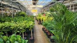 경기도양주시 꽃배달, 경기도양주시 꽃집, 경기도 양주시 장흥면 일영로327번길 28 꽃집, 플라워빌리지 꽃집, 경기도 양주시 장흥면 일영로327번... 