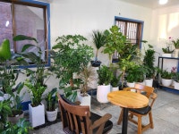 경상남도김해시 꽃배달, 경상남도김해시 꽃집, 경상남도 김해시 삼안로168번길 7-2 꽃집, 1층(삼방동) 꽃집, 경상남도 김해시 삼안로168번길 7-2... 