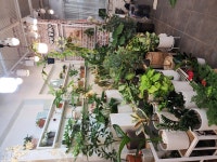 대전광역시서구 꽃배달, 대전광역시서구 꽃집, 대전광역시 서구 둔산북로 22 꽃집, 둔산라이프상가 104호(둔산동) 꽃집, 대전광역시 서구... 