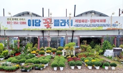 꽃배달 - 예당플라워 플라워119꽃배달서비스 - 생일, 개업, 축하, 근조 꽃배달 전문 카테고리 꽃다발 , 꽃배달, 꽃선물, 전국꽃배달서비스... 
