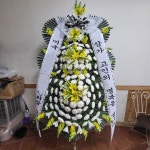 대구광역시달서구 꽃배달, 대구광역시달서구 꽃집, 대구광역시 달서구 장기로10길 37-6 꽃집, 성당동537-1(성당동) 꽃집, 대구광역시 달서구... 