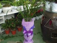 대덕구 신탄진로 230 꽃집, (수자원공사 kt엔g 옆)(와동) 꽃집, 대전광역시 대덕구 신탄진로 230 꽃배달, (수자원공사 kt엔g 옆)(와동) 꽃배달... 