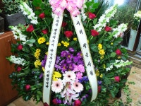 춘천시 서부대성로 247 꽃배달, (효자동) 꽃배달 - 춘천아름다운꽃세상 플라워119꽃배달서비스 - 생일, 개업, 축하, 근조 꽃배달 전문 카테고리... 