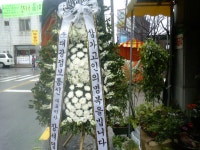 전라북도익산시 꽃배달, 전라북도익산시 꽃집, 전라북도 익산시 선화로13길 63 꽃집, (모현동1가) 꽃집, 전라북도 익산시 선화로13길 63 꽃배달... 