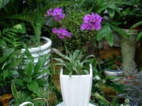 전라북도익산시 꽃배달, 전라북도익산시 꽃집, 전라북도 익산시 선화로13길 63 꽃집, (모현동1가) 꽃집, 전라북도 익산시 선화로13길 63 꽃배달... 