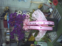경상북도경산시 꽃배달, 경상북도경산시 꽃집, 경상북도 경산시 하양읍 대학로298길 10 꽃집, 대경화원 꽃집, 경상북도 경산시 하양읍... 