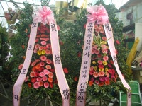 광주광역시광산구 꽃배달, 광주광역시광산구 꽃집, 광주 광산구 신가동 꽃집, 233-3번지 007플라워 꽃집, 광주 광산구 신가동 꽃배달, 233-3번지... 