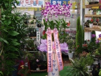 전라남도장흥군 꽃배달, 전라남도장흥군 꽃집, 전라남도 장흥군 장흥읍 동교1길 27-1 꽃집, 꽃집, 전라남도 장흥군 장흥읍 동교1길 27-1 꽃배달... 
