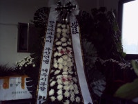 충청남도보령시 꽃배달, 충청남도보령시 꽃집, 충청남도 보령시 신평로 35 꽃집, (동대동) 꽃집, 충청남도 보령시 신평로 35 꽃배달, (동대동)... 