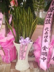 광주광역시광산구 꽃배달, 광주광역시광산구 꽃집, 광주 광산구 신가동 꽃집, 233-3번지 007플라워 꽃집, 광주 광산구 신가동 꽃배달, 233-3번지... 