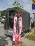 광주광역시광산구 꽃배달, 광주광역시광산구 꽃집, 광주 광산구 신가동 꽃집, 233-3번지 007플라워 꽃집, 광주 광산구 신가동 꽃배달, 233-3번지... 