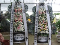 경상남도거창군 꽃배달, 경상남도거창군 꽃집, 경상남도 거창군 거창읍 거열로 43 꽃집, 미림플라워랜드 꽃집, 경상남도 거창군 거창읍 거열로 43... 