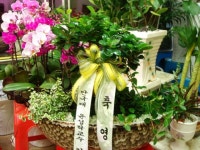 전라북도익산시 꽃배달, 전라북도익산시 꽃집, 전라북도 익산시 선화로13길 63 꽃집, (모현동1가) 꽃집, 전라북도 익산시 선화로13길 63 꽃배달... 