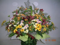 삼동로 36 꽃배달, (모종동)(모종동) 꽃배달 - 평화꽃집 플라워119꽃배달서비스 - 생일, 개업, 축하, 근조 꽃배달 전문 카테고리 꽃다발 , 꽃배달... 