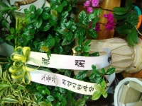 전라북도익산시 꽃배달, 전라북도익산시 꽃집, 전라북도 익산시 선화로13길 63 꽃집, (모현동1가) 꽃집, 전라북도 익산시 선화로13길 63 꽃배달... 