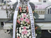 경기도연천군 꽃배달, 경기도연천군 꽃집, 경기도 연천군 전곡읍 은전로78번길 17 꽃집, 꽃집, 경기도 연천군 전곡읍 은전로78번길 17 꽃배달... 