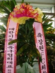 강원도춘천시 꽃배달, 강원도춘천시 꽃집, 강원도 춘천시 충열로 10-3 꽃집, (우두동) 꽃집, 강원도 춘천시 충열로 10-3 꽃배달, (우두동) 꽃배달... 