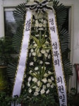 충청남도홍성군 꽃배달, 충청남도홍성군 꽃집, 충청남도 홍성군 홍성읍 월산로50번길 25 꽃집, 103호(청운빌딩) 꽃집, 충청남도 홍성군 홍성읍... 
