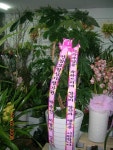 충청남도아산시 꽃배달, 충청남도아산시 꽃집, 충청남도 아산시 삼동로 36 꽃집, (모종동)(모종동) 꽃집, 충청남도 아산시 삼동로 36 꽃배달... 