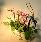 부산광역시남구 꽃배달, 부산광역시남구 꽃집, 부산광역시 남구 지게골로 67 꽃집, (문현동) 꽃집, 부산광역시 남구 지게골로 67 꽃배달, (문현동)... 