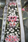 춘천시 서부대성로 247 꽃배달, (효자동) 꽃배달 - 춘천아름다운꽃세상 플라워119꽃배달서비스 - 생일, 개업, 축하, 근조 꽃배달 전문 카테고리... 