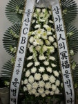 대구광역시달서구 꽃배달, 대구광역시달서구 꽃집, 대구광역시 달서구 장기로 88 꽃집, 봄뜨레(성당동) 꽃집, 대구광역시 달서구 장기로 88... 