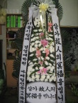 안계면 안계시장길 53-5 꽃집, 꽃집, 경상북도 의성군 안계면... 화분관엽, 난, 동양란, 서양란, 화환, 근조화환, 축하화환, 쥬얼리, 케잌, 샴페인... 