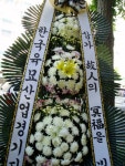 강원도춘천시 꽃배달, 강원도춘천시 꽃집, 강원도 춘천시 충열로 10-3 꽃집, (우두동) 꽃집, 강원도 춘천시 충열로 10-3 꽃배달, (우두동) 꽃배달... 