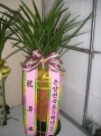 충청남도홍성군 꽃배달, 충청남도홍성군 꽃집, 충청남도 홍성군 홍성읍 월산로50번길 25 꽃집, 103호(청운빌딩) 꽃집, 충청남도 홍성군 홍성읍... 