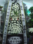 전라북도익산시 꽃배달, 전라북도익산시 꽃집, 전라북도 익산시 선화로13길 63 꽃집, (모현동1가) 꽃집, 전라북도 익산시 선화로13길 63 꽃배달... 