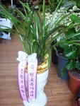 전라남도여수시 꽃배달, 전라남도여수시 꽃집, 전라남도 여수시 도원로 171-1 꽃집, (선원동) 꽃집, 전라남도 여수시 도원로 171-1 꽃배달... 
