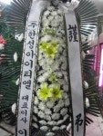 충청남도부여군 꽃배달, 충청남도부여군 꽃집, 충청남도 부여군 규암면 계백로 14 꽃집, (부여소방서 앞) 꽃집, 충청남도 부여군 규암면 계백로... 