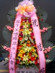 꽃집, (월성동) 꽃집, 대구광역시 달서구 월곡로94길 39 꽃배달, (월성동) 꽃배달 - 대구한국플라워 플라워119꽃배달서비스 - 생일, 개업, 축하... 
