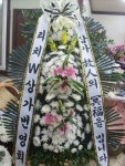 꽃집, 교육청길 45-3 꽃집, 전라남도 해남군 해남읍 읍사무소길 17 꽃배달, 교육청길 45-3 꽃배달 - 민들레꽃방 플라워119꽃배달서비스 - 생일, 개업... 
