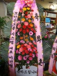전라남도순천시 꽃배달, 전라남도순천시 꽃집, 전라남도 순천시 중앙로 67-1 꽃집, (저전동) 꽃집, 전라남도 순천시 중앙로 67-1 꽃배달, (저전동)... 
