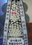 전라북도익산시 꽃배달, 전라북도익산시 꽃집, 전라북도 익산시 선화로13길 63 꽃집, (모현동1가) 꽃집, 전라북도 익산시 선화로13길 63 꽃배달... 