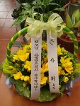 대전광역시서구 꽃배달, 대전광역시서구 꽃집, 대전광역시 서구 둔산북로 22 꽃집, 둔산꽃도매상가 내 1층(둔산동) 꽃집, 대전광역시 서구... 