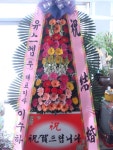 전라북도익산시 꽃배달, 전라북도익산시 꽃집, 전라북도 익산시 선화로13길 63 꽃집, (모현동1가) 꽃집, 전라북도 익산시 선화로13길 63 꽃배달... 