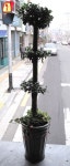 부산광역시남구 꽃배달, 부산광역시남구 꽃집, 부산광역시 남구 지게골로 67 꽃집, (문현동) 꽃집, 부산광역시 남구 지게골로 67 꽃배달, (문현동)... 
